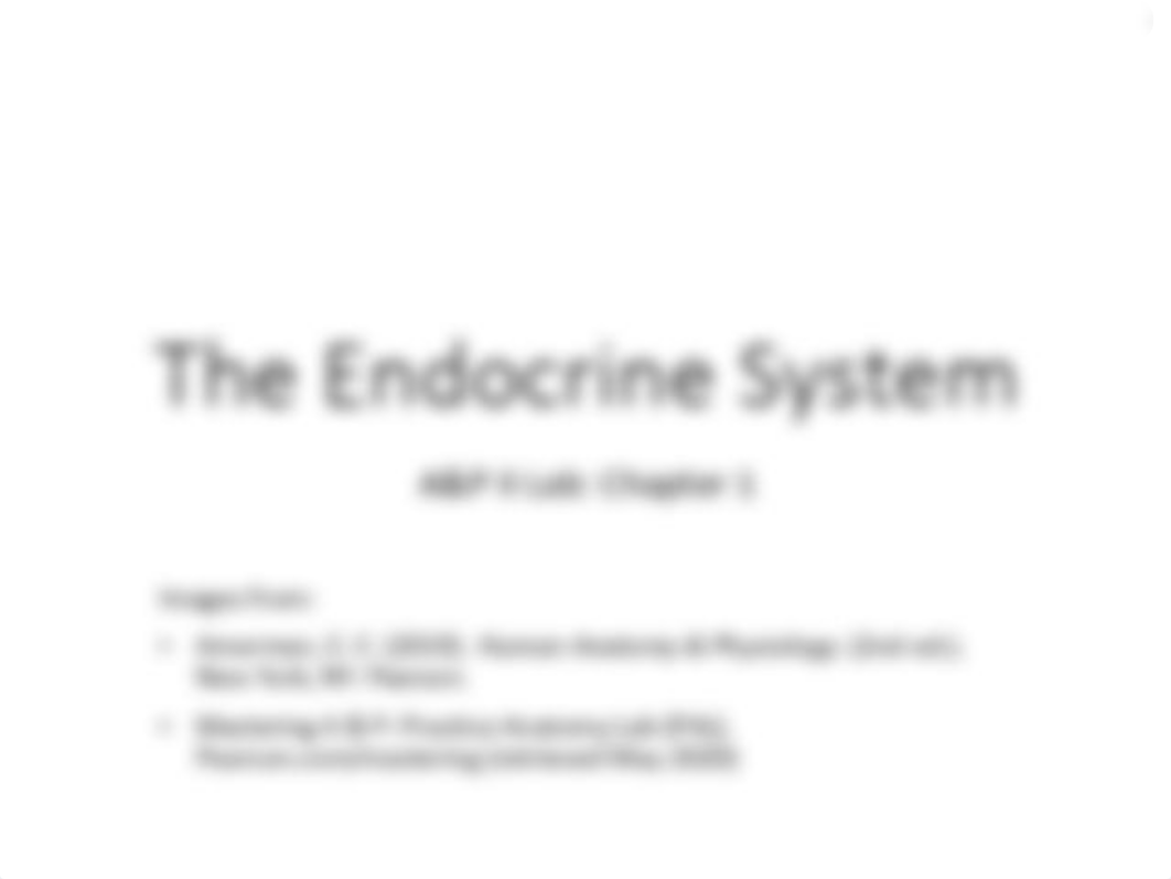 Ch. 1 Endocrine Lab.pdf_dcdzxc3onw4_page1