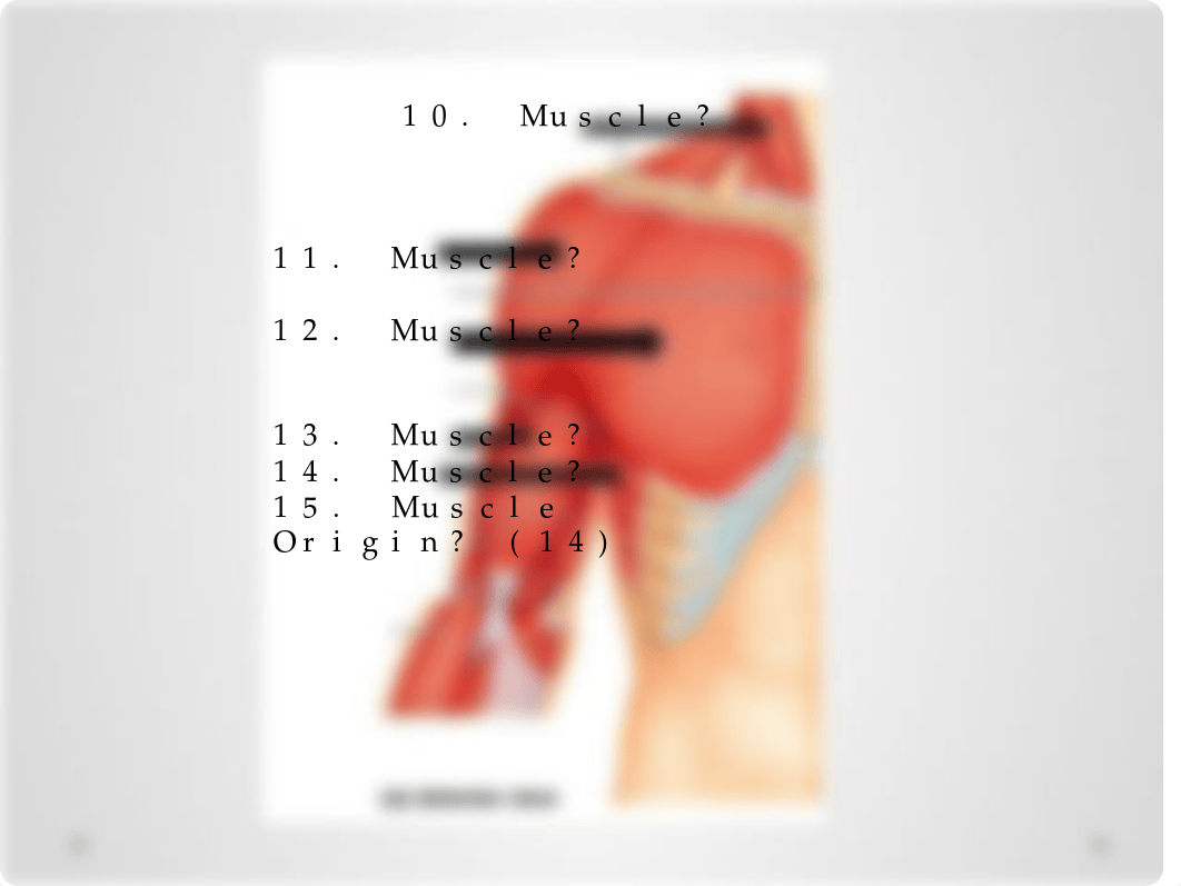 Muscle Exam .pptx_dce31nc9848_page3