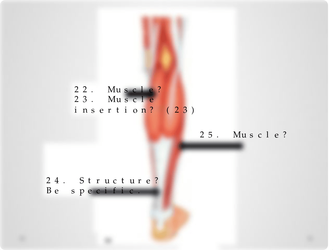 Muscle Exam .pptx_dce31nc9848_page5