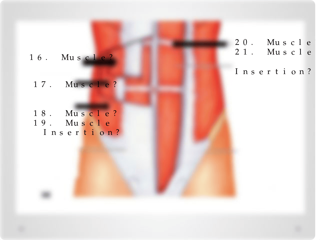 Muscle Exam .pptx_dce31nc9848_page4