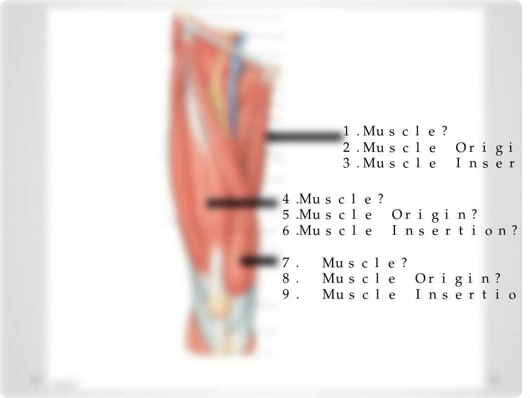 Muscle Exam .pptx_dce31nc9848_page2