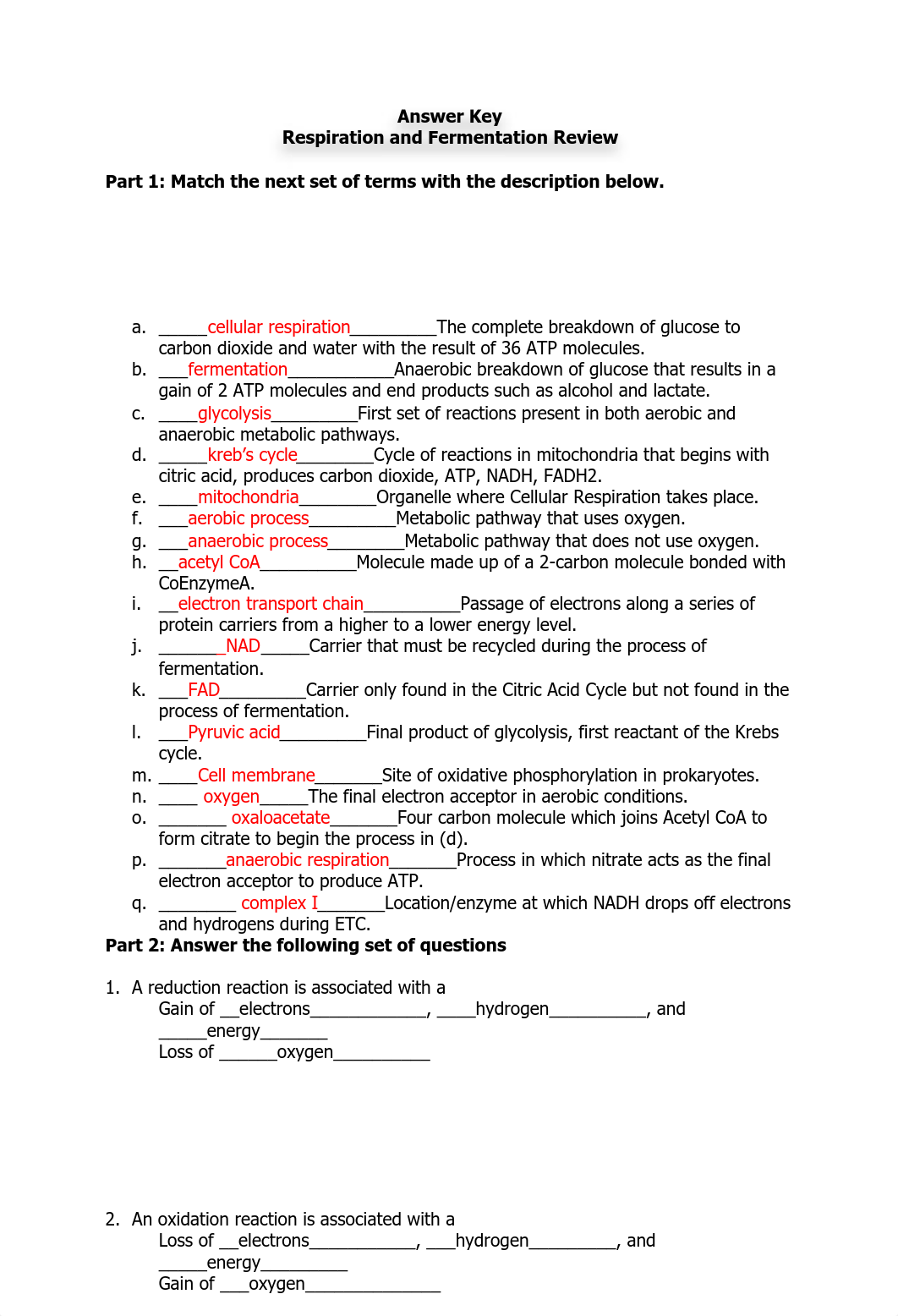 Metabolism Worksheet (answers).pdf_dce9iozxgwr_page1