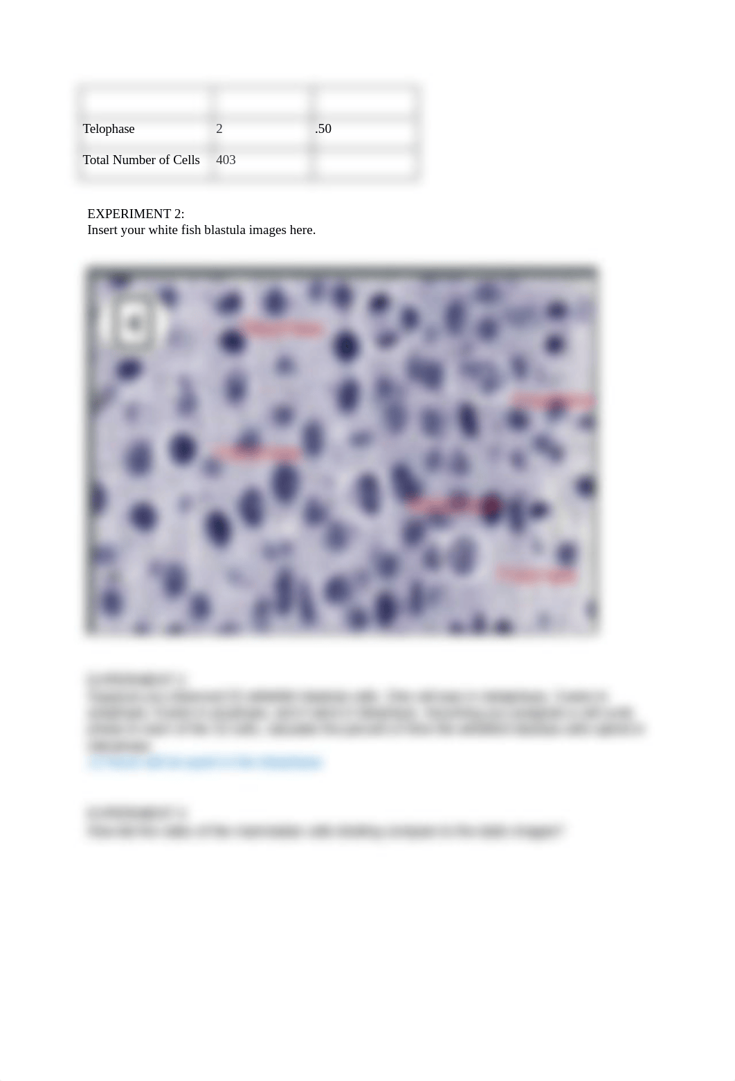 Lab 09 Mitosis and Meiosis Short Answers.docx_dce9l87lp4g_page3