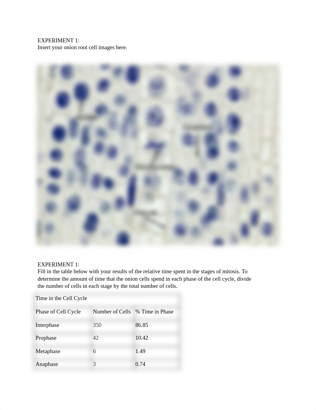 Lab 09 Mitosis and Meiosis Short Answers.docx_dce9l87lp4g_page2