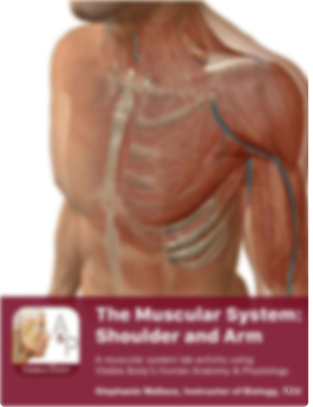 Muscles - UE.pdf_dceepirk8hx_page1