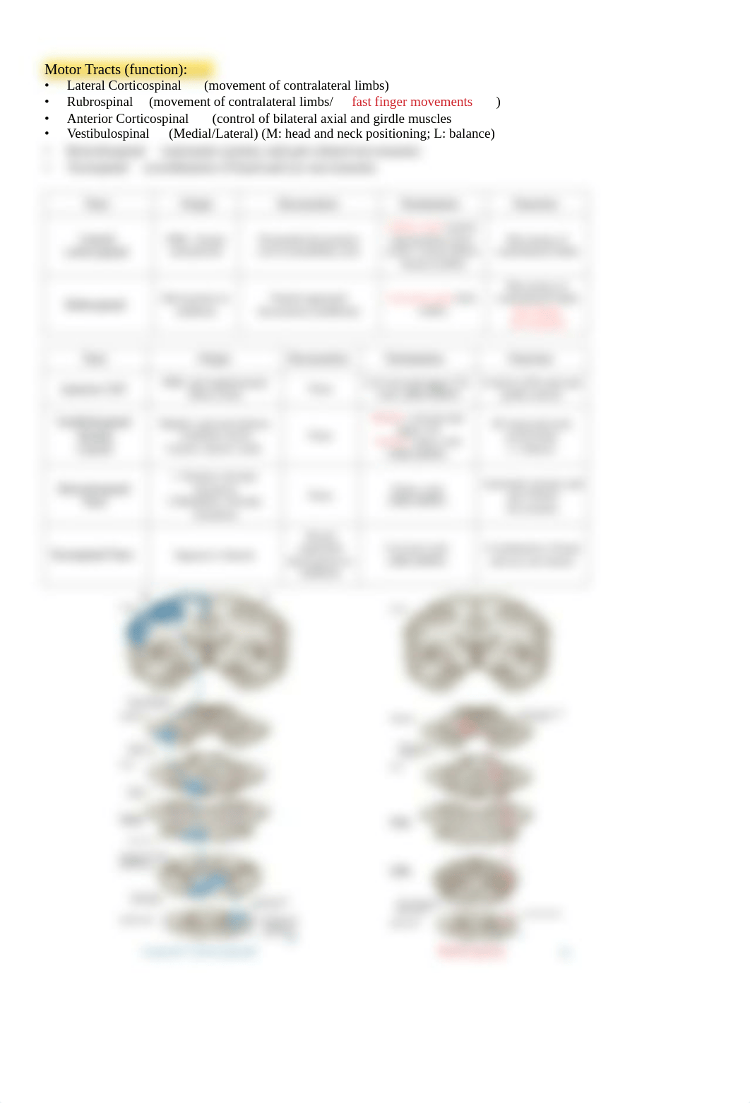 NSPractical2.pdf_dcefwxjicfl_page2