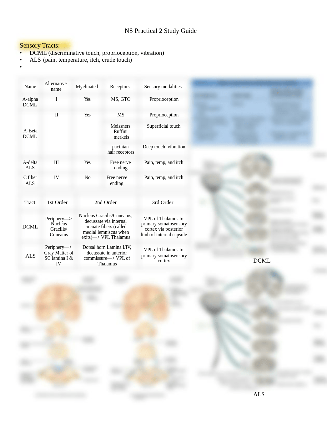 NSPractical2.pdf_dcefwxjicfl_page1