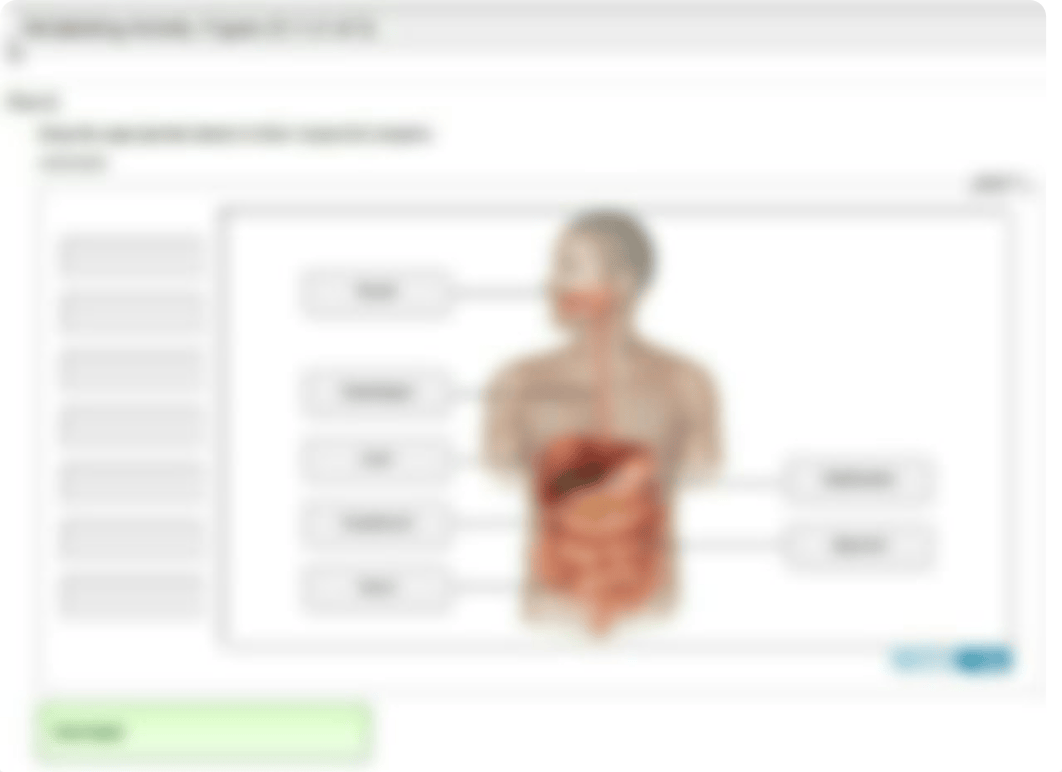 Digestive Anatomy_dceqmlxxqfc_page4