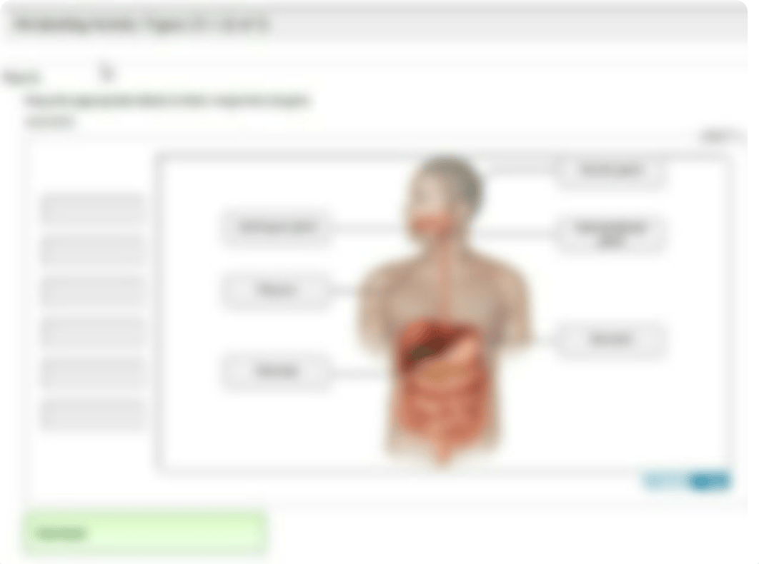 Digestive Anatomy_dceqmlxxqfc_page5