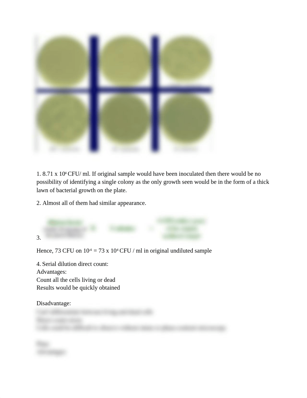 microbiology lab report_dcernssy1i1_page1