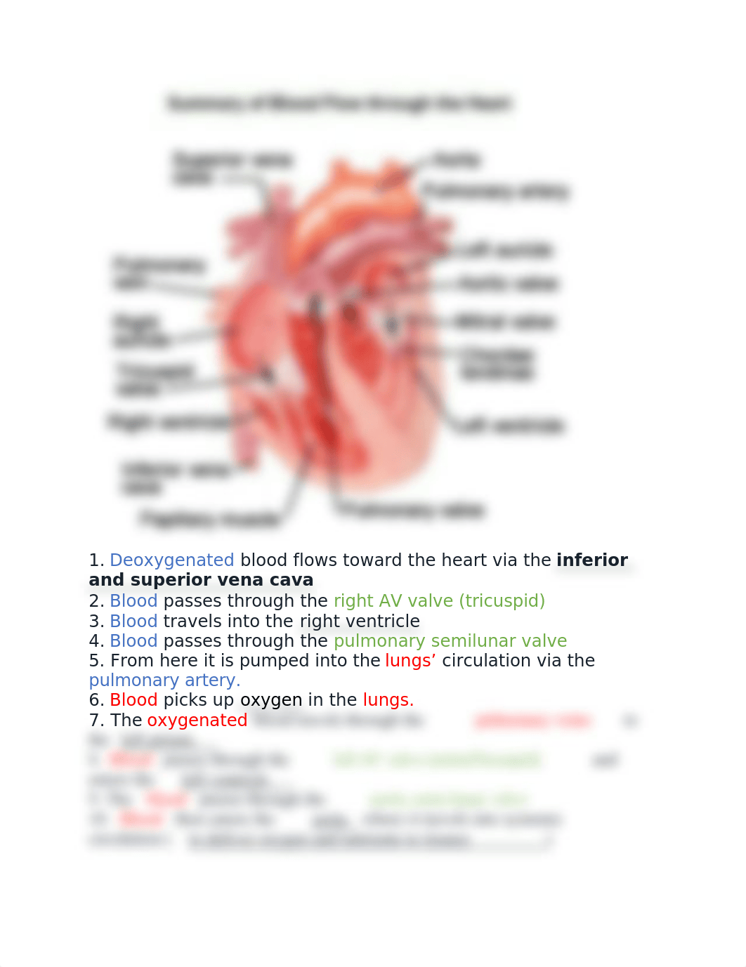 blood flow through the heart.docx_dceuk3sjffr_page1