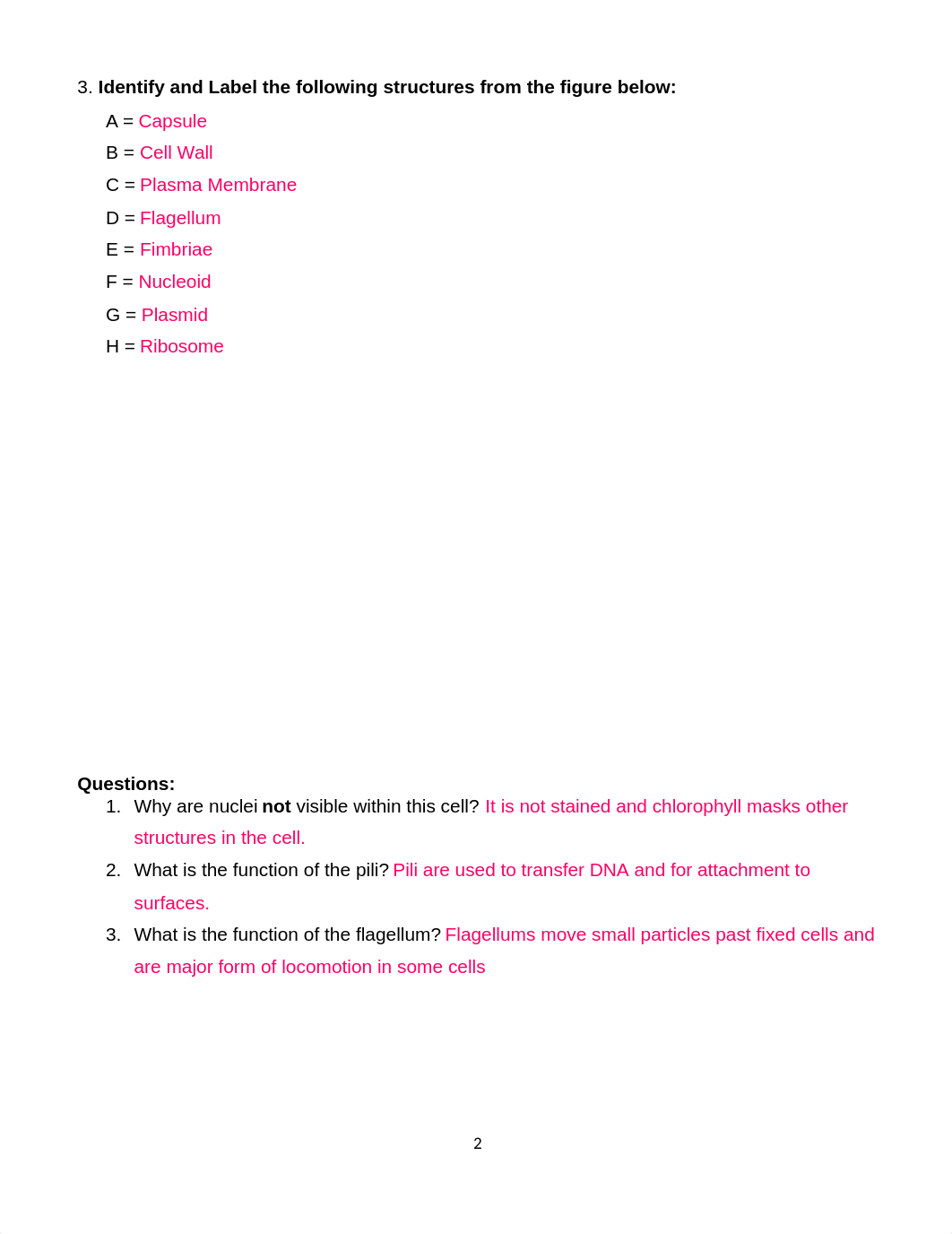 Lab 2 Cells Worksheet.docx_dcfkmmfmo8g_page2