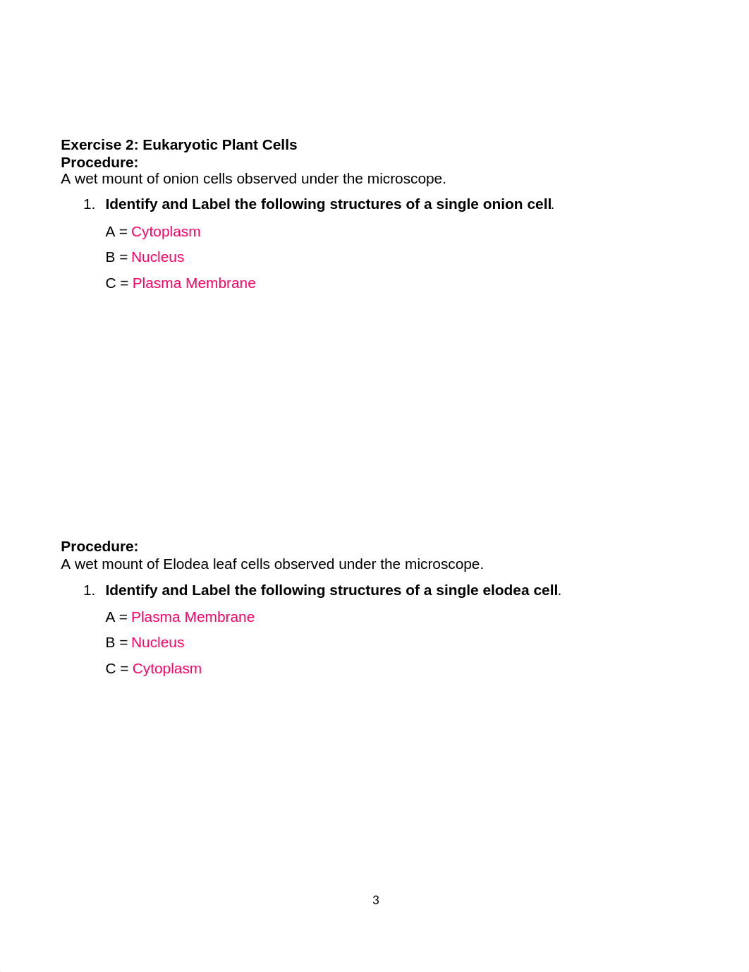 Lab 2 Cells Worksheet.docx_dcfkmmfmo8g_page3