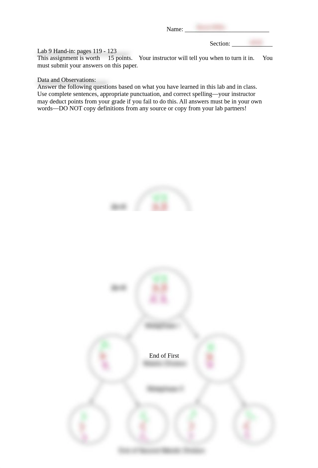 Lab 9 Complete.pdf_dcfoy1xgsia_page1