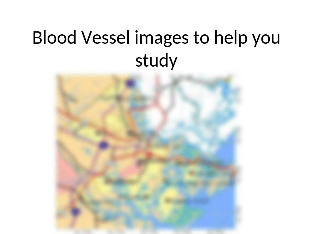 BLANK Blood Vessel images to help you study_dcfp7srdwci_page1