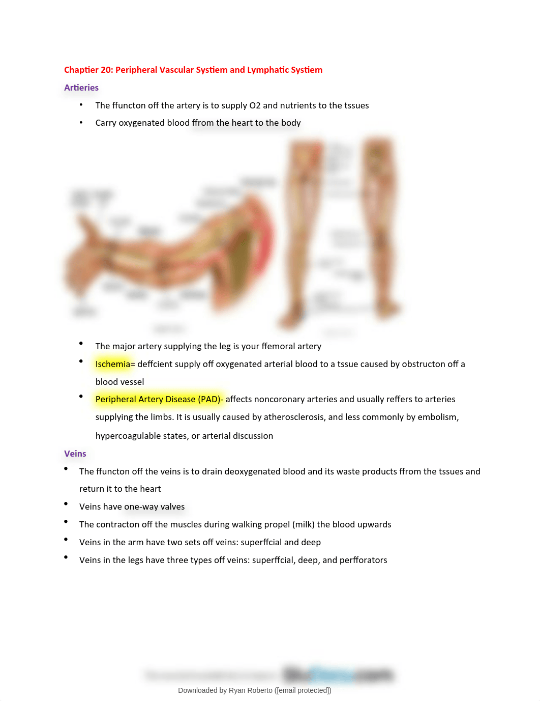 chapter-20-peripheral-vascular-system.pdf_dcfs3dh45gw_page2