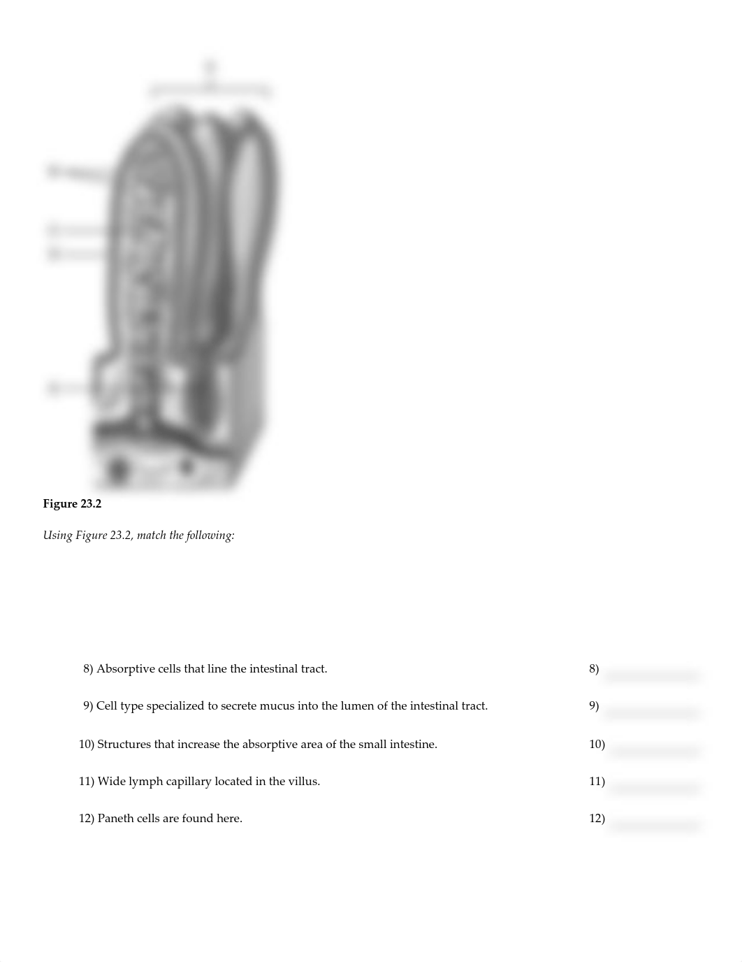 Chapter 23.pdf_dcfzyst1wg0_page2