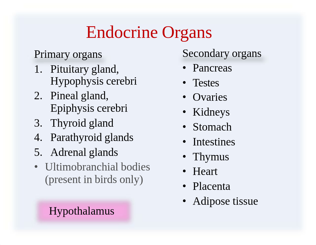 25__Endocrine_System_2013_dcg8t2wpwyf_page3