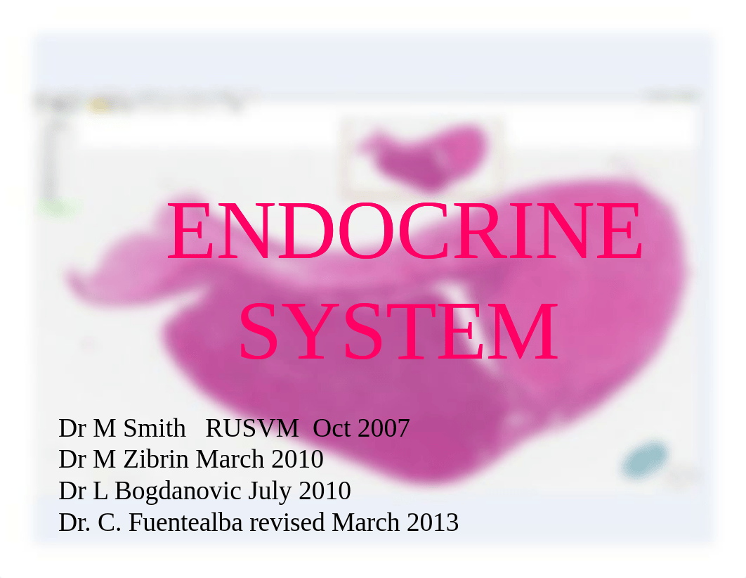 25__Endocrine_System_2013_dcg8t2wpwyf_page1