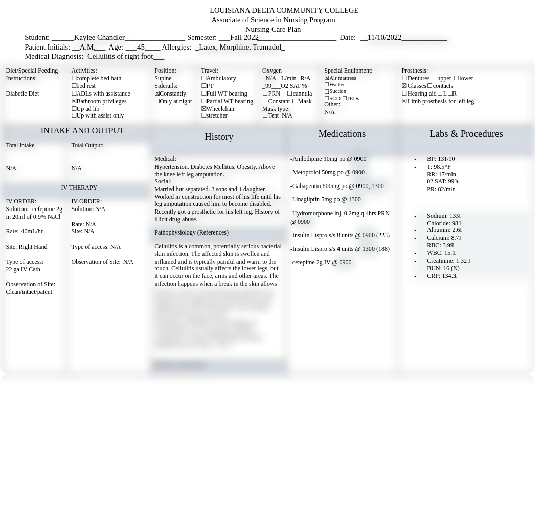 Cellulitis Care Plan Mcfarland .docx_dcg9runsb6s_page1