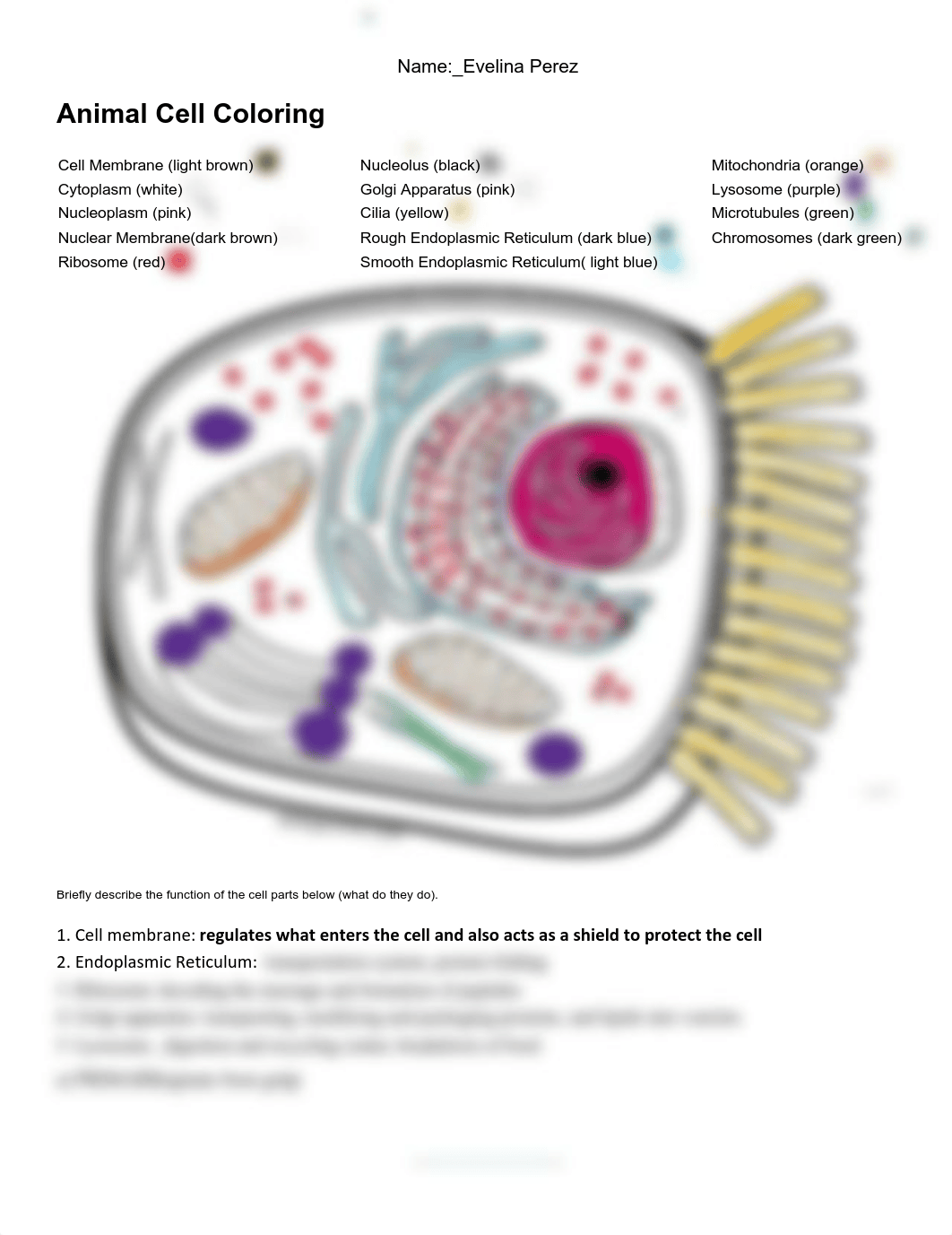 02_Cell Coloring - Animal_Activity.pdf_dcgaenyqpgv_page1