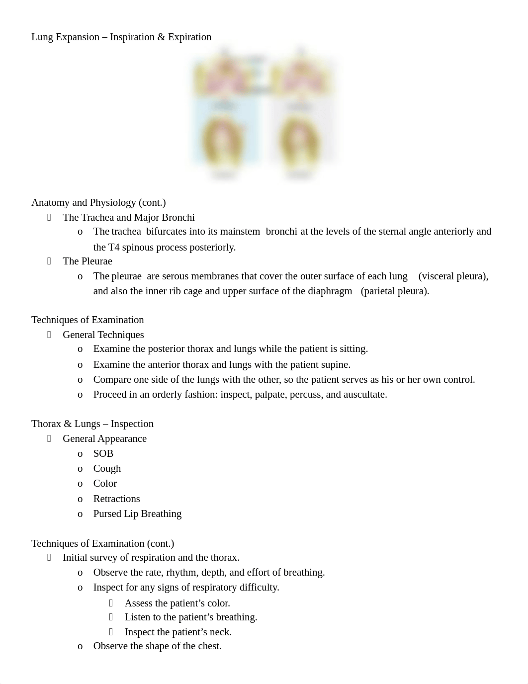 Lungs and Thorax.docx_dcgdo4wet2t_page2