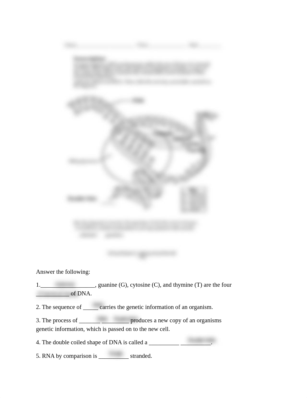 DNA Replication worksheet finished.pdf_dcgeznaglnq_page1