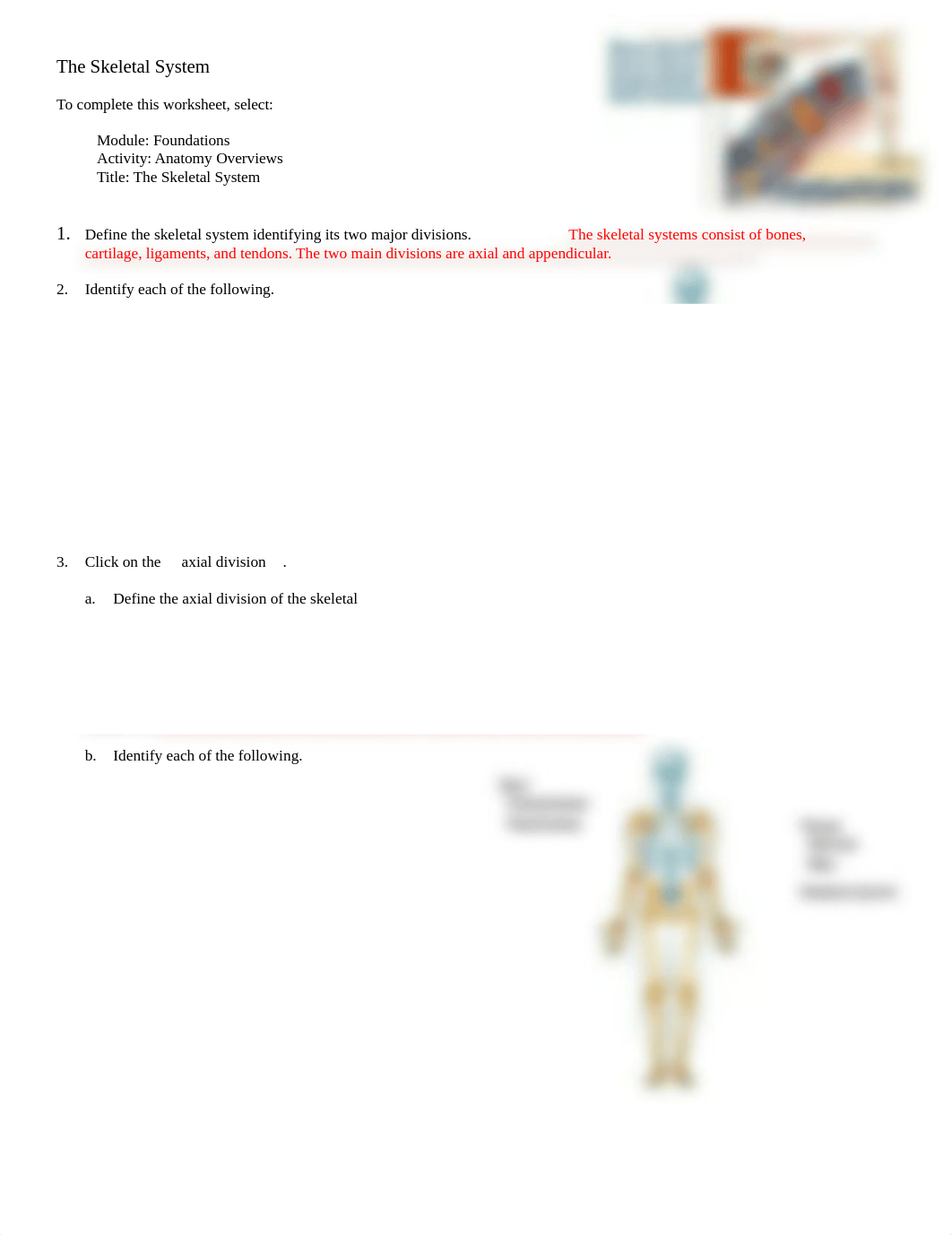 Skeletal.doc_dcggjv2qgh2_page1