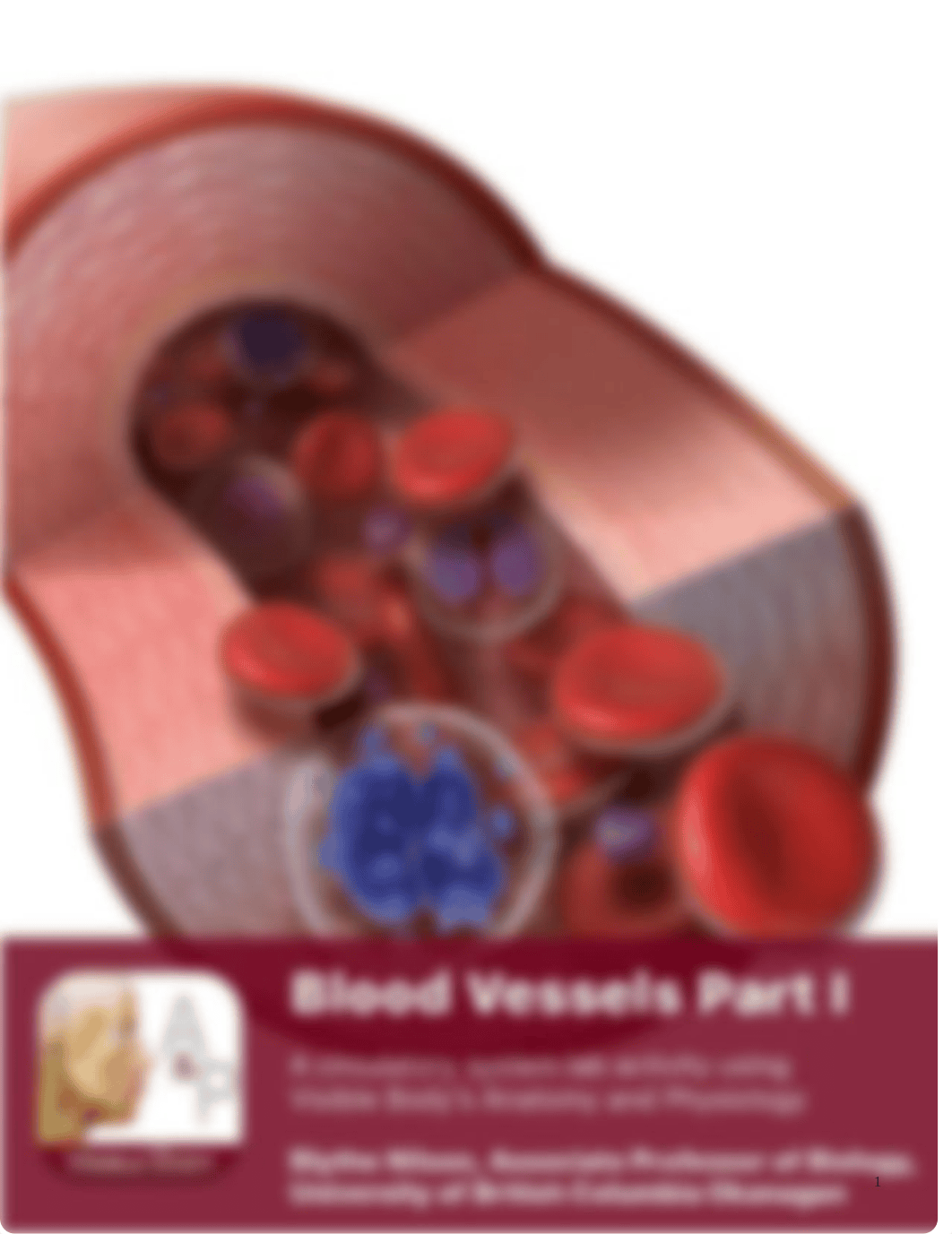 blood vessels part 1.pdf_dcgjkb09113_page1