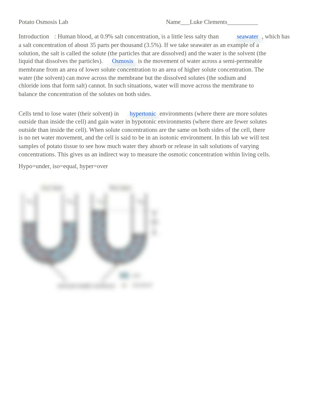 Luke Clements Potato Osmosis Lab - ST (1).pdf_dcgnzyy5qsf_page1