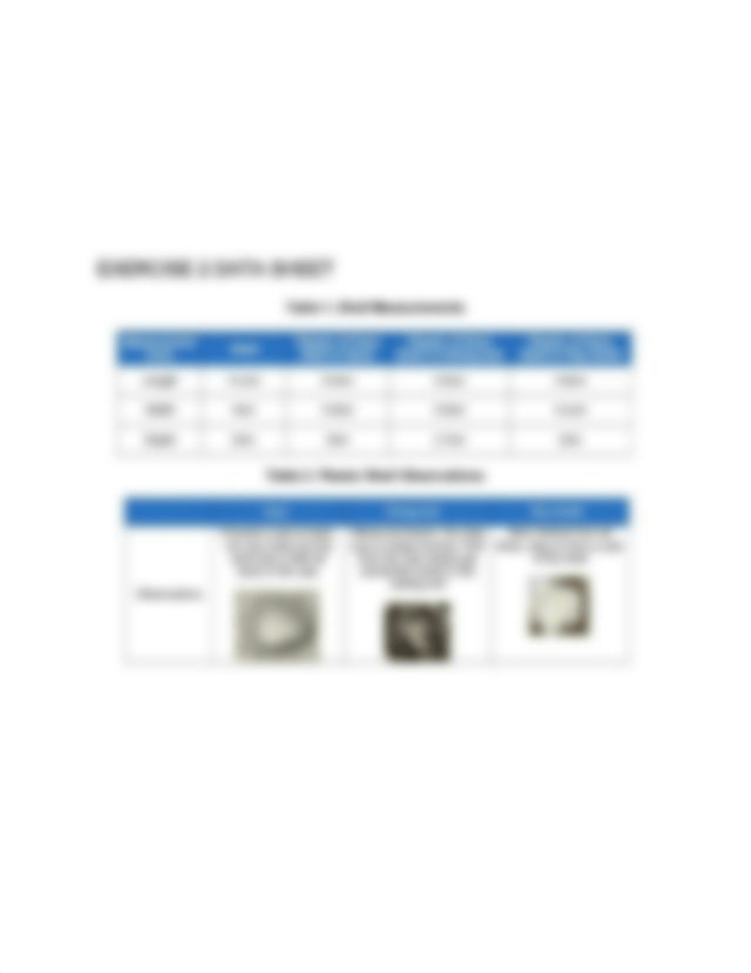 Geologic Dating Fossilization Exercise 2 Data Sheet .png_dcgpdm01kmh_page1