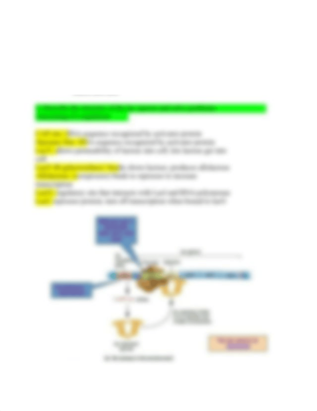 Genetics Final Exam Study Guide_dcgzz4e41je_page3