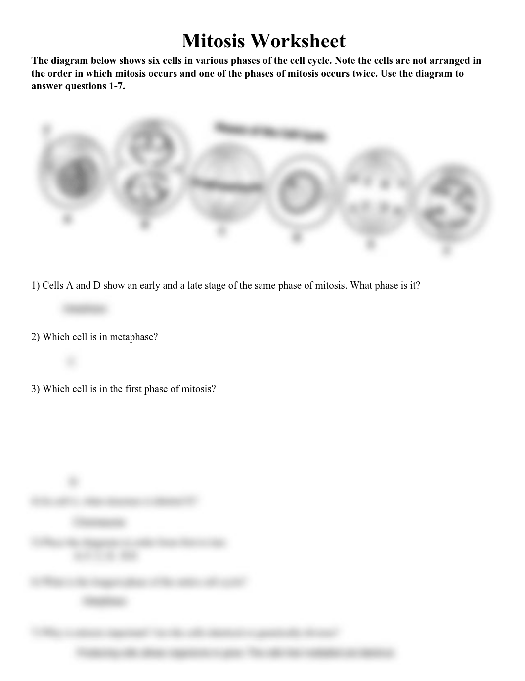 Phases of the Cell (1).pdf_dch0heag44c_page1