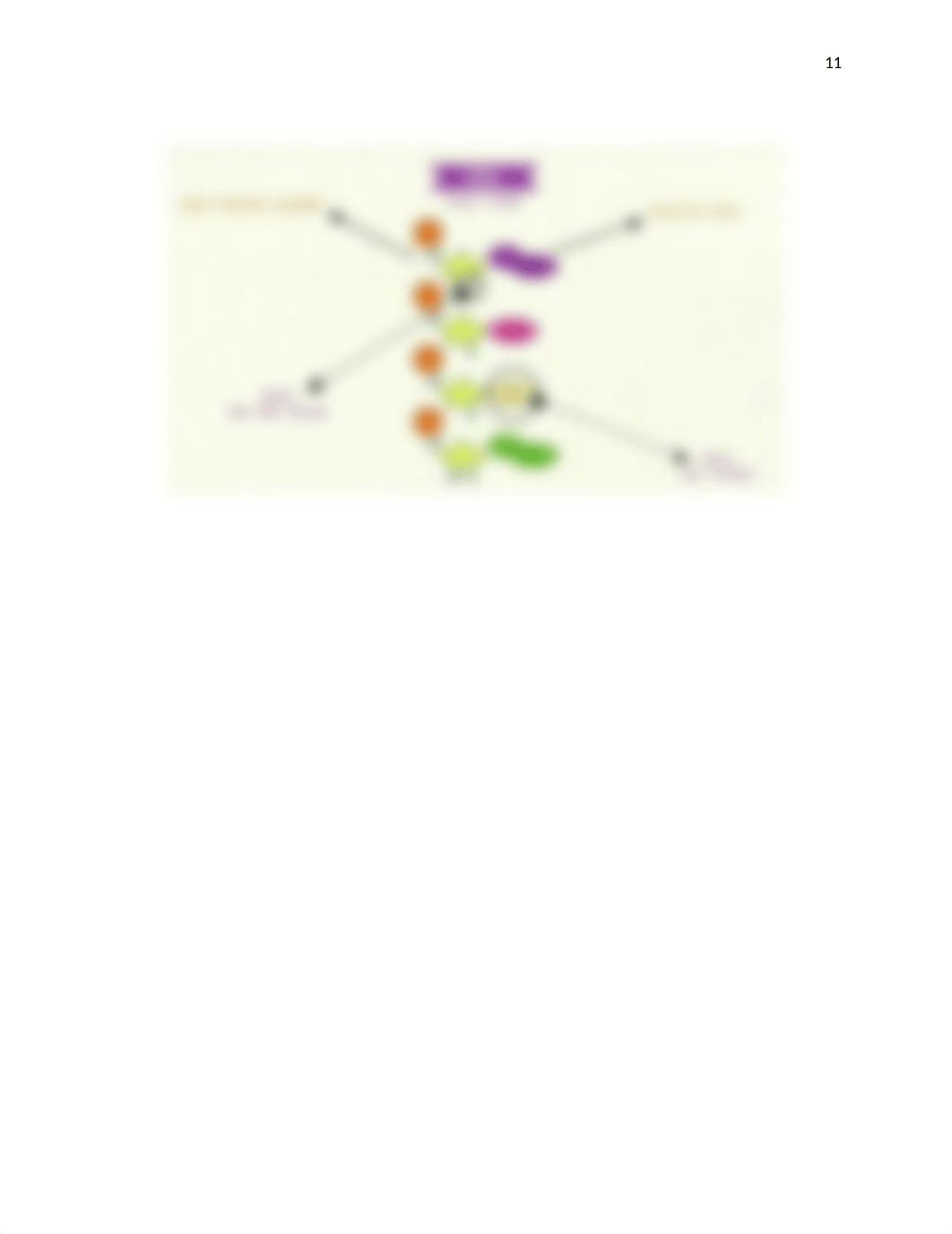 Exam 11, 12, 14 and 15_dch6n4iquzv_page2