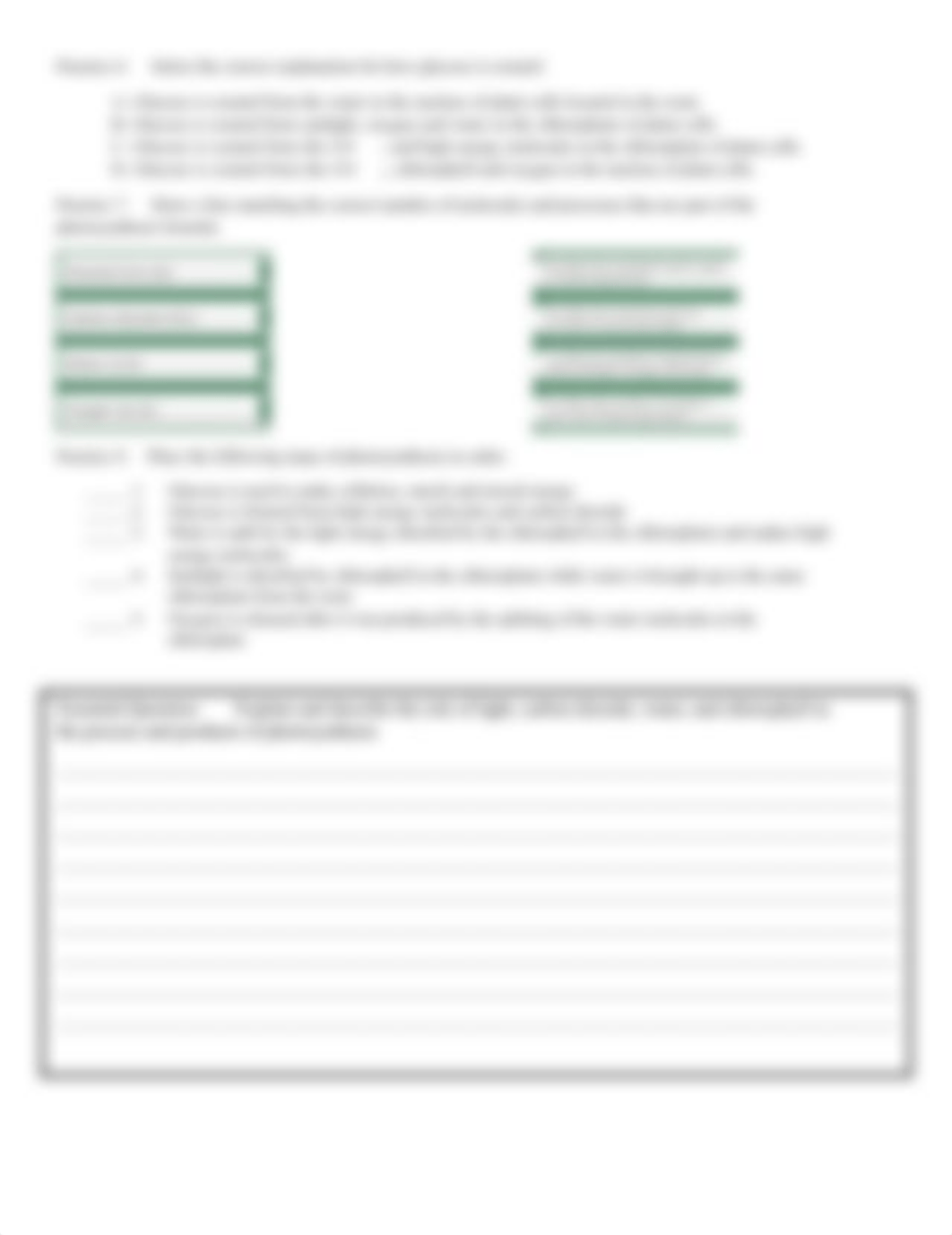 Floridastudents - SC.8.L.18.1_Photosynthesis.pdf_dchatla0z1u_page2