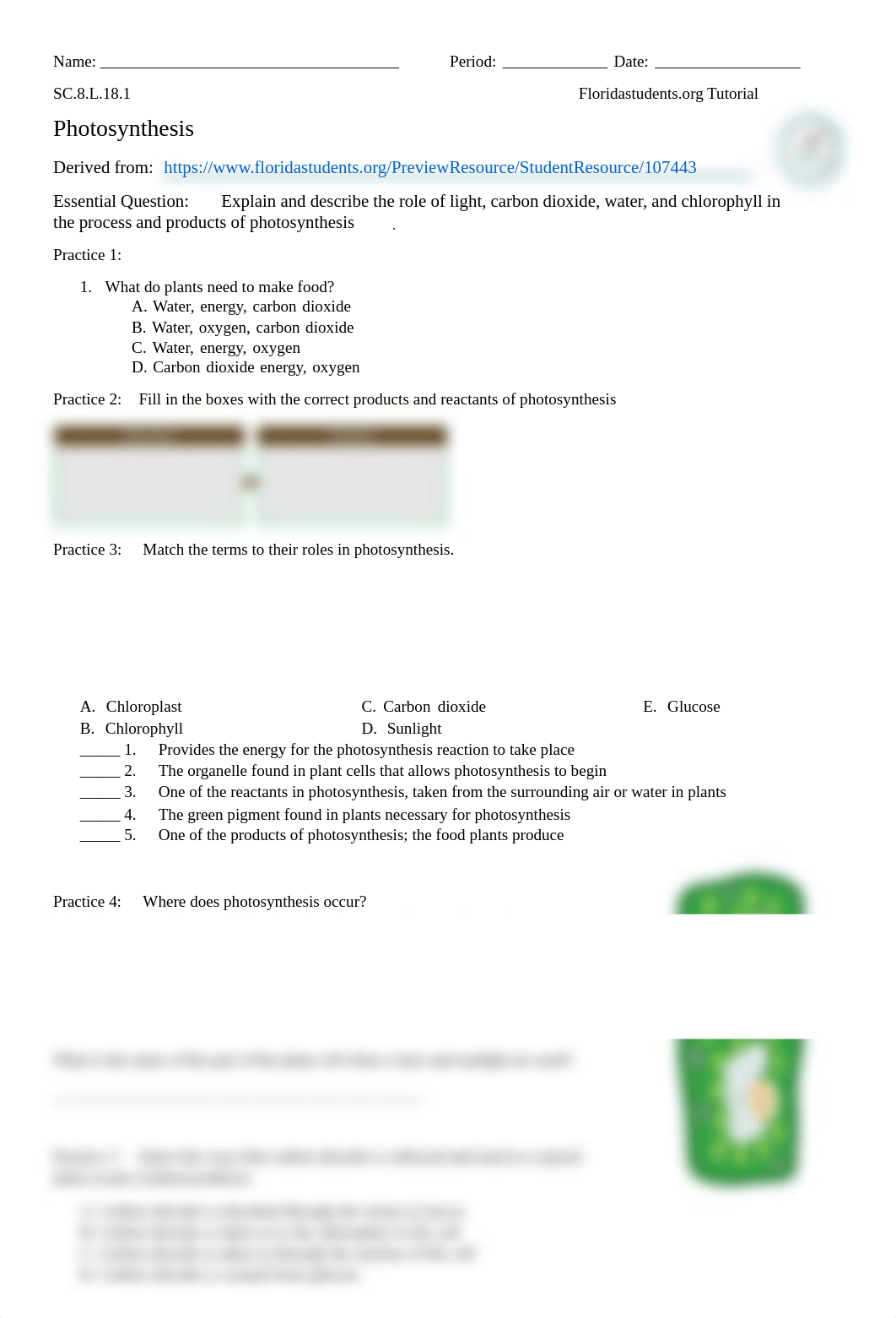 Floridastudents - SC.8.L.18.1_Photosynthesis.pdf_dchatla0z1u_page1