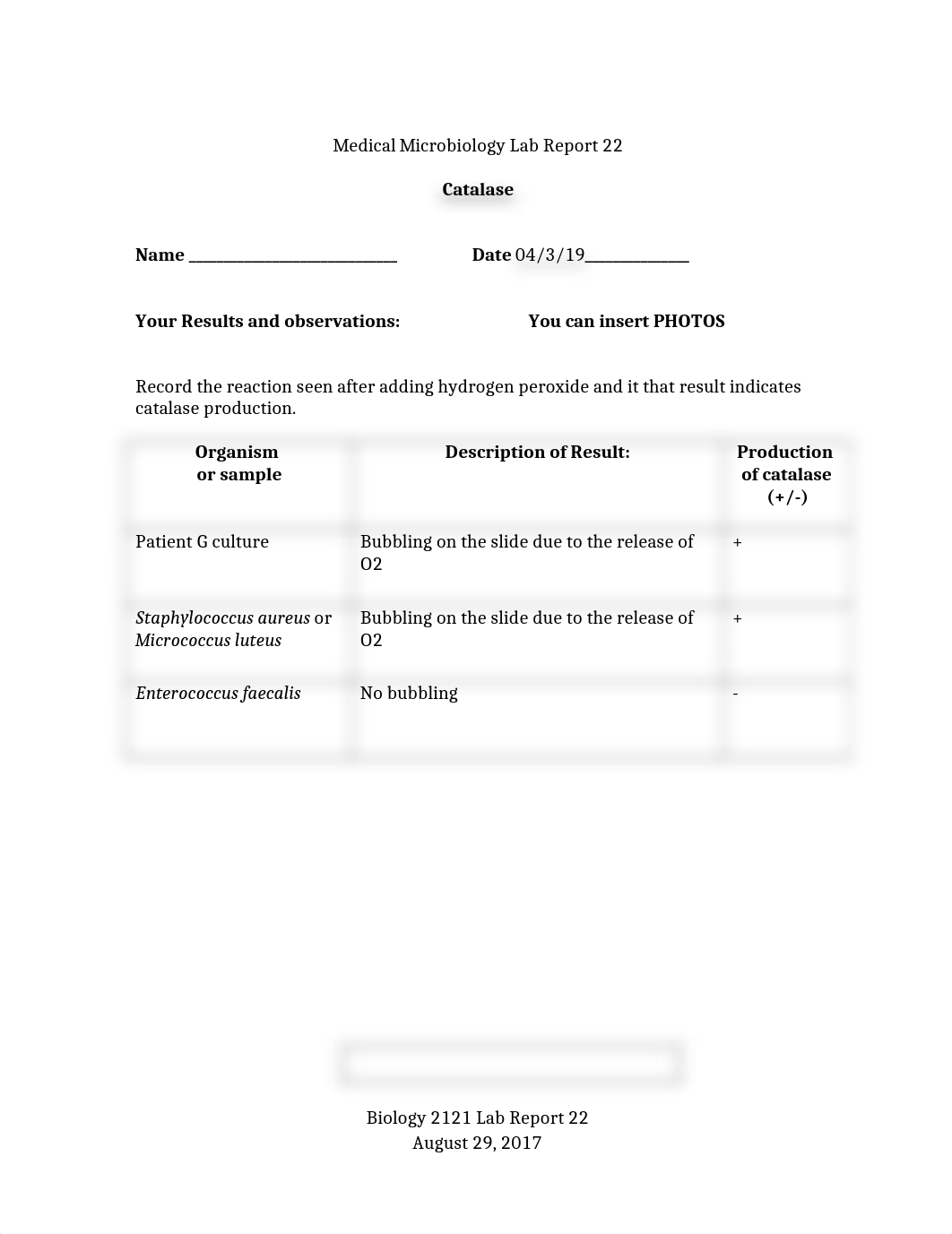 Lab Report 22 final.docx_dchb2dngn2h_page1