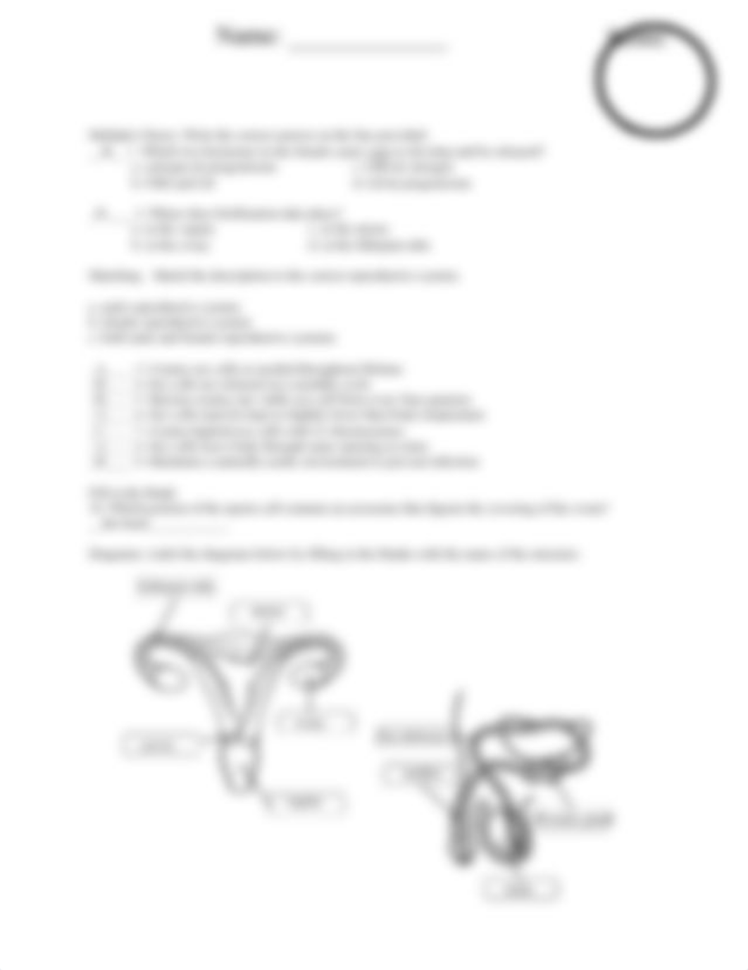 Reproductive System Quiz.docx_dchccqrytdi_page2