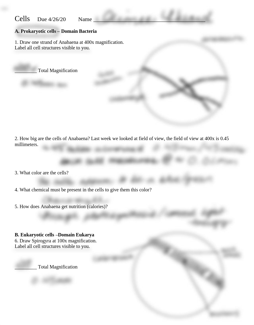 Cell Lab.pdf_dchejsgrwrx_page1