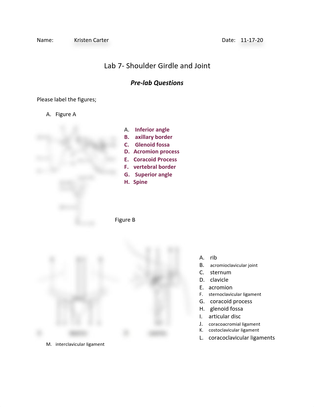 SPM 381 Lab 7- Shoulder Girdle and Joint.pdf_dchmjn34e7r_page1