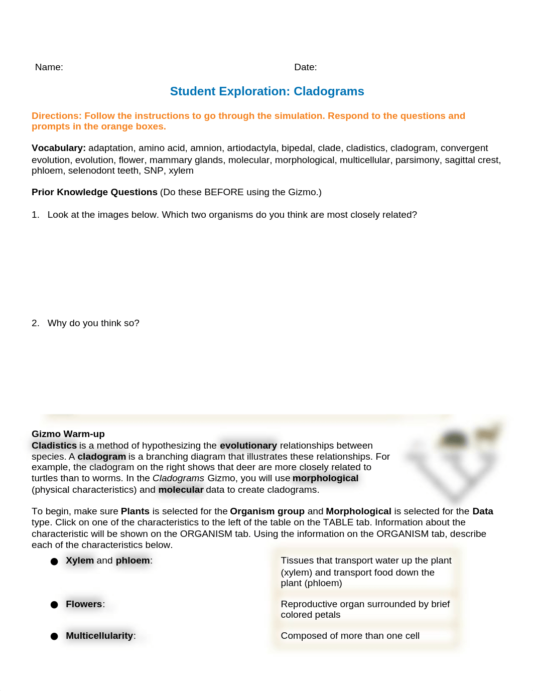 CladogramsSEcomplete.docx_dchnush1ns8_page1