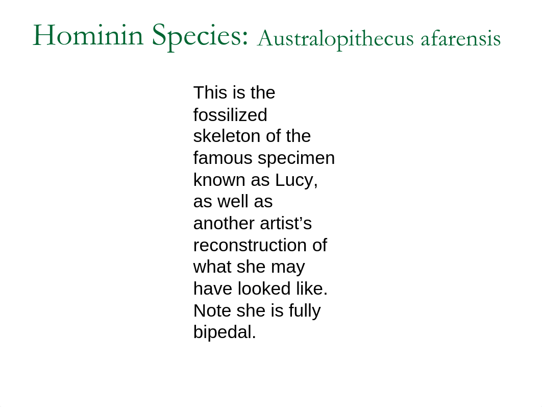 Hominin Species.pdf_dchrd0ao0vv_page5