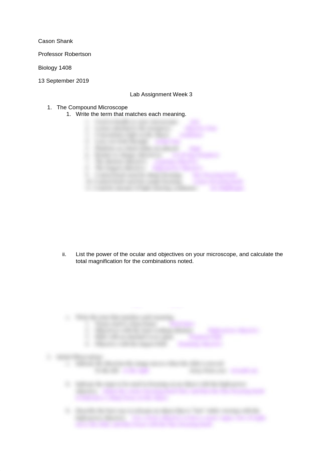 Lab Assignment Week 3.docx_dchsbh1sxjd_page1