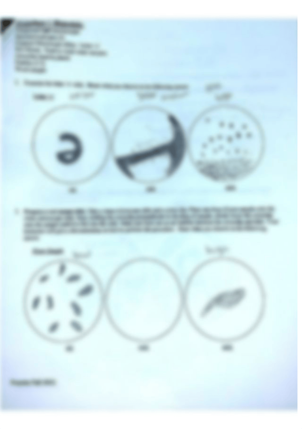 Bio 1 Lab #1.pdf_dchzg5ffg5x_page1