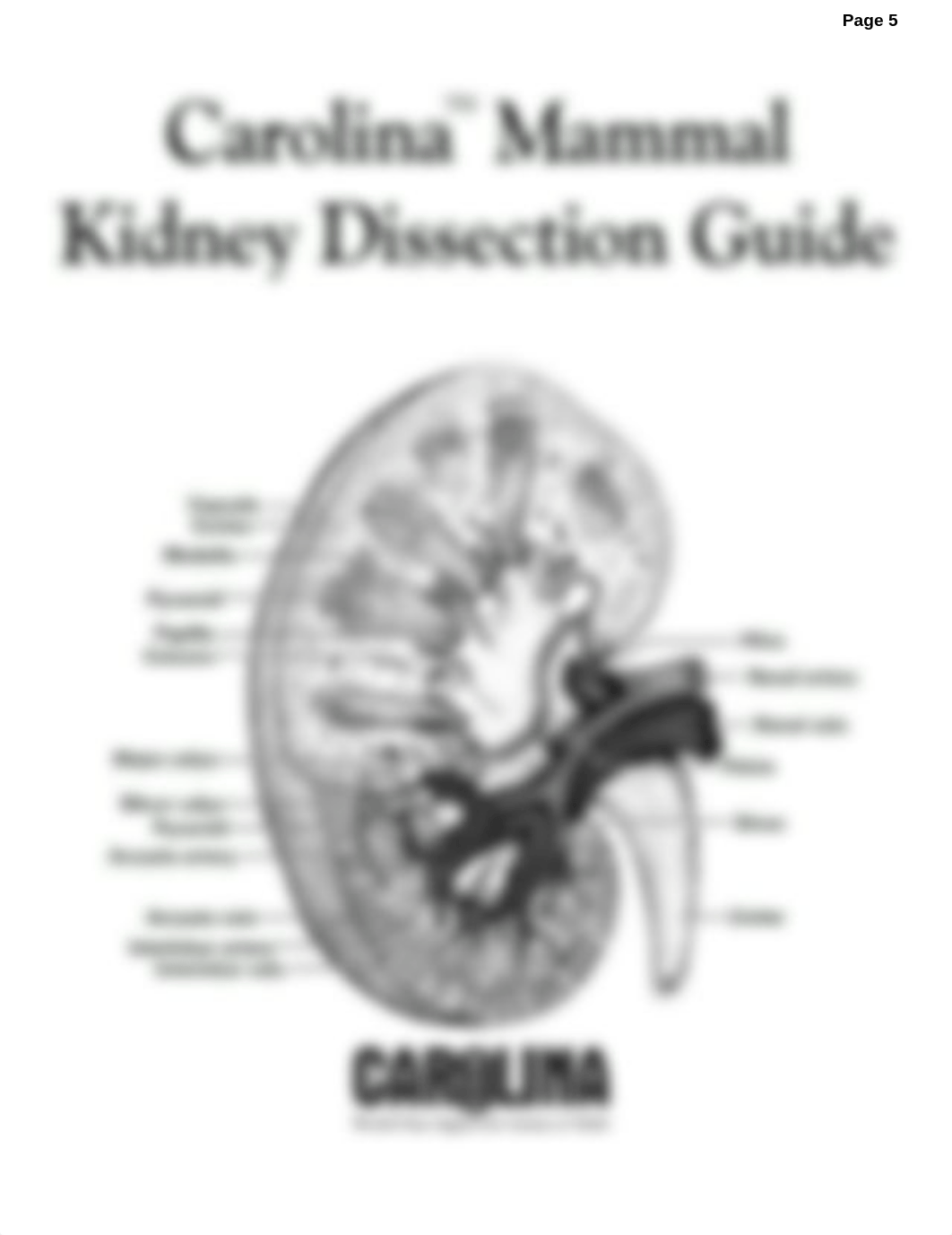 BIO 227 LABS  DR  WICKS - Copy 1 (1).docx_dci2t4pnt11_page5