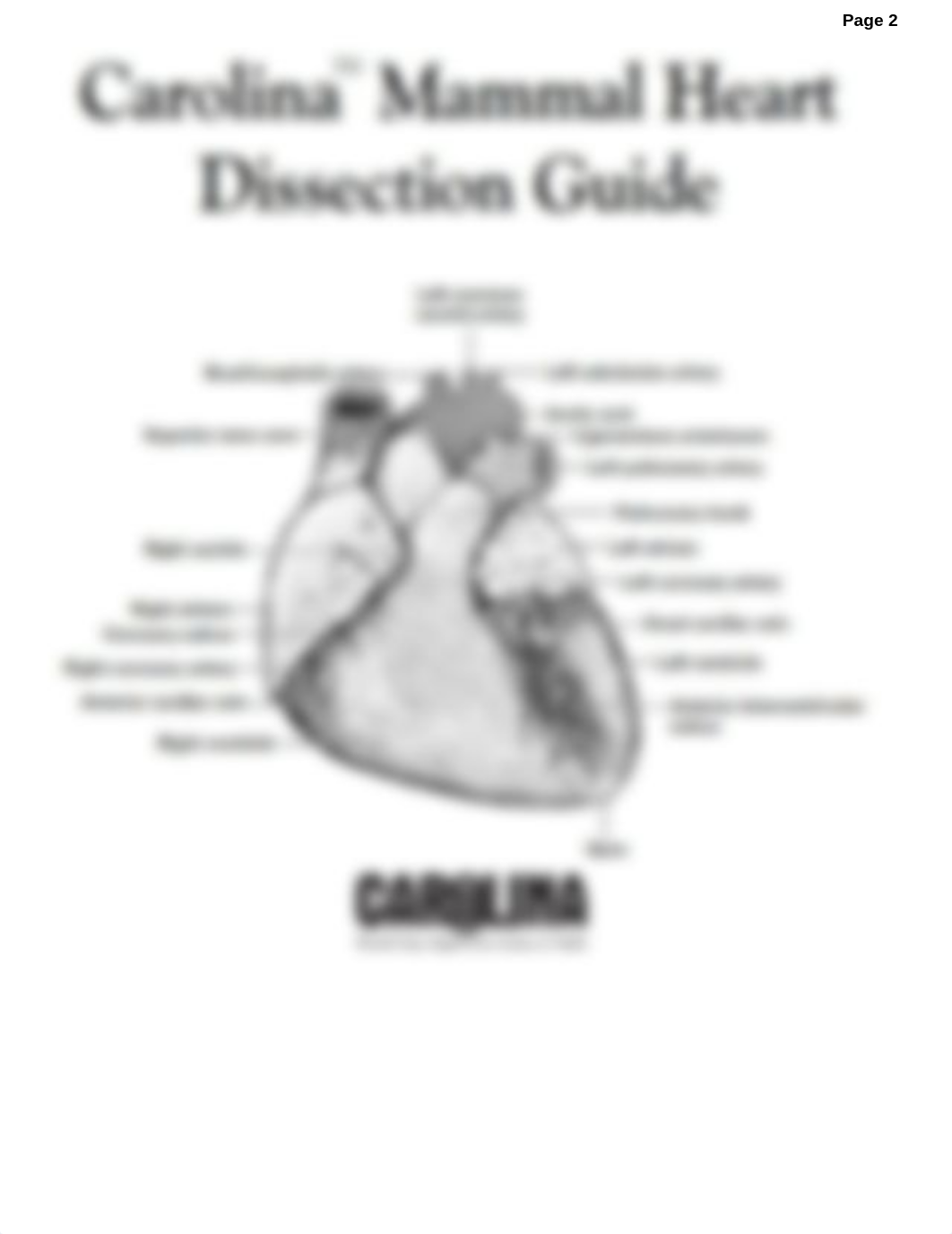 BIO 227 LABS  DR  WICKS - Copy 1 (1).docx_dci2t4pnt11_page2