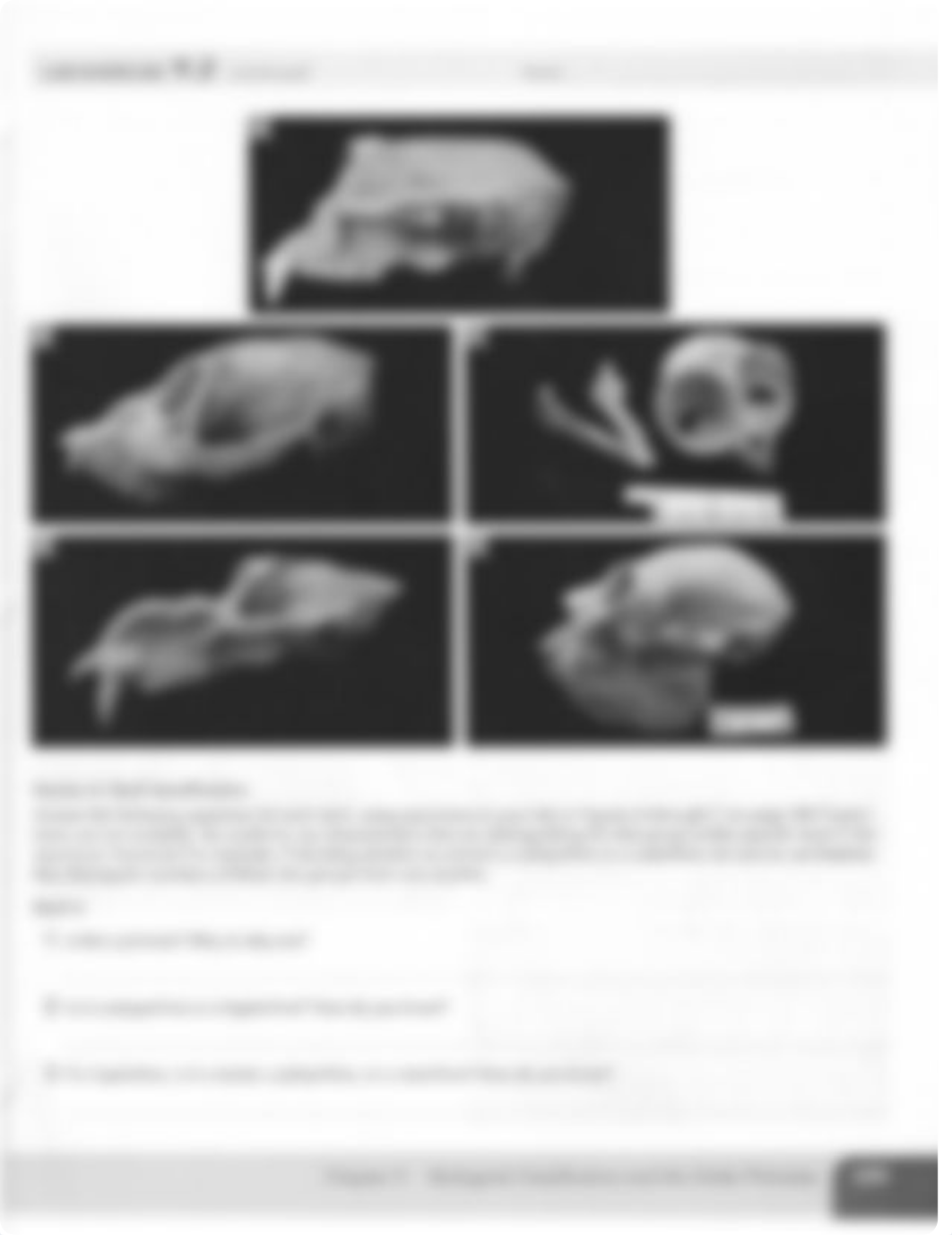 Primate Classification 9.2 Anthro201.pdf_dcidd8sp1uk_page3