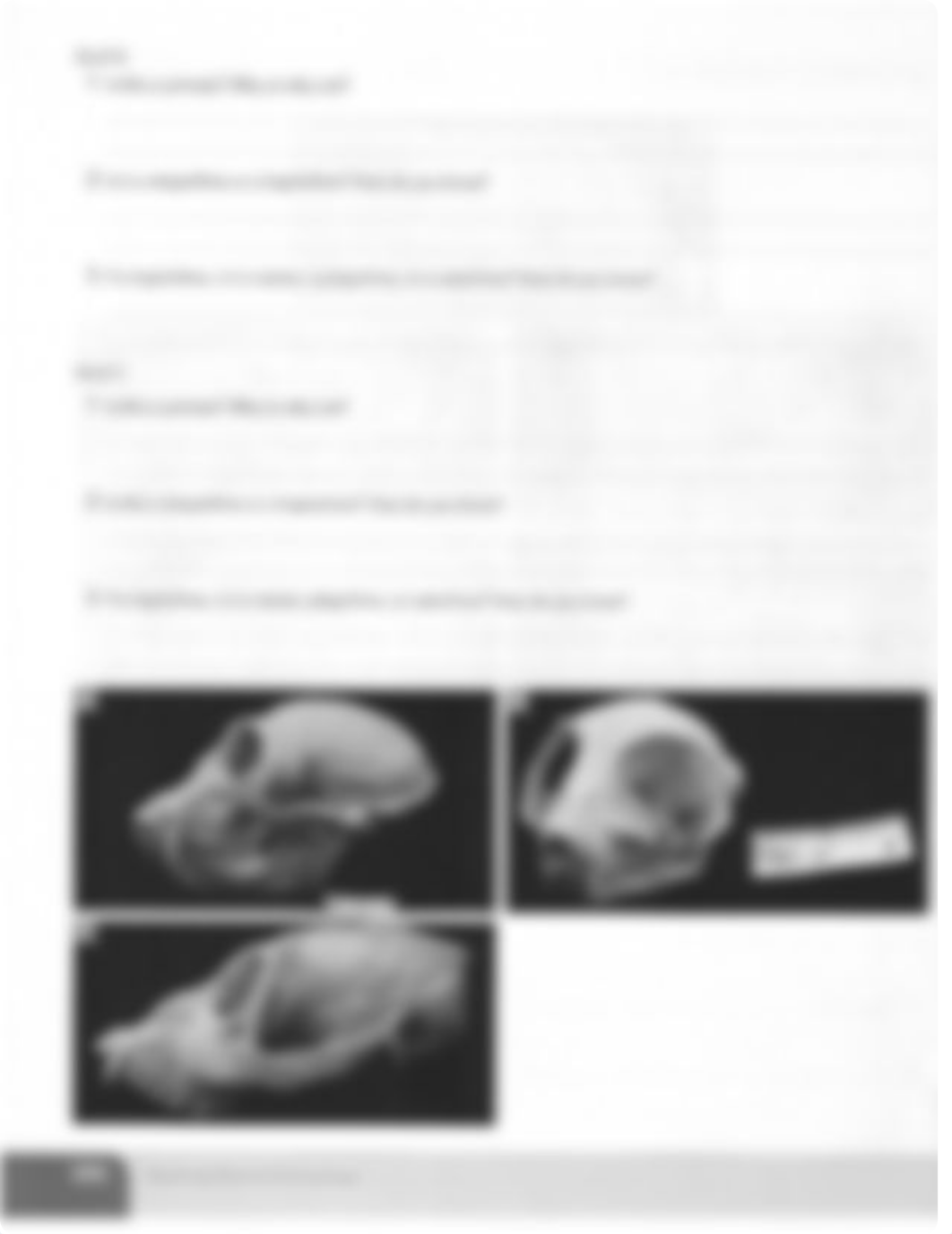 Primate Classification 9.2 Anthro201.pdf_dcidd8sp1uk_page4