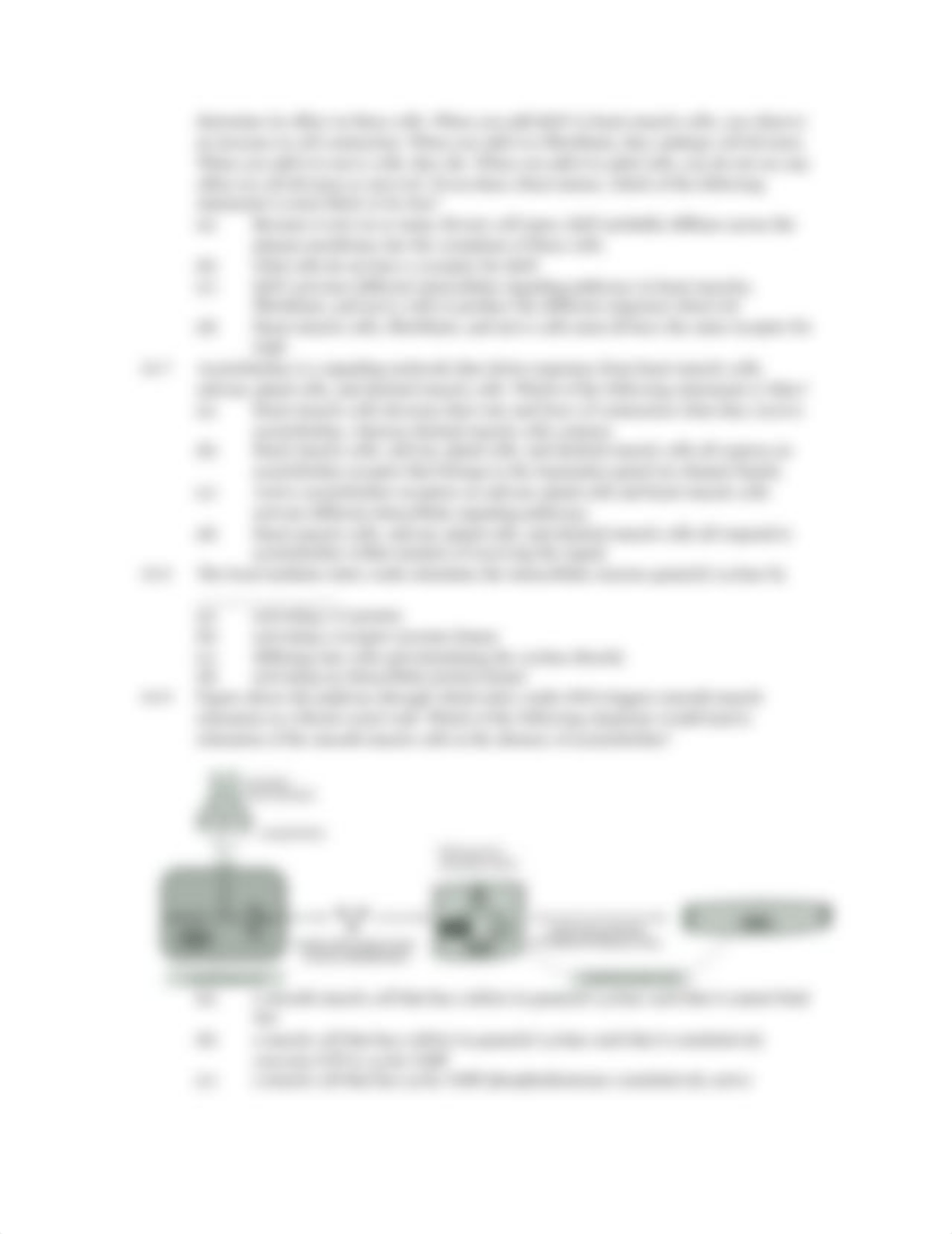 chapter16worksheet (2).doc_dciio3w63uz_page2