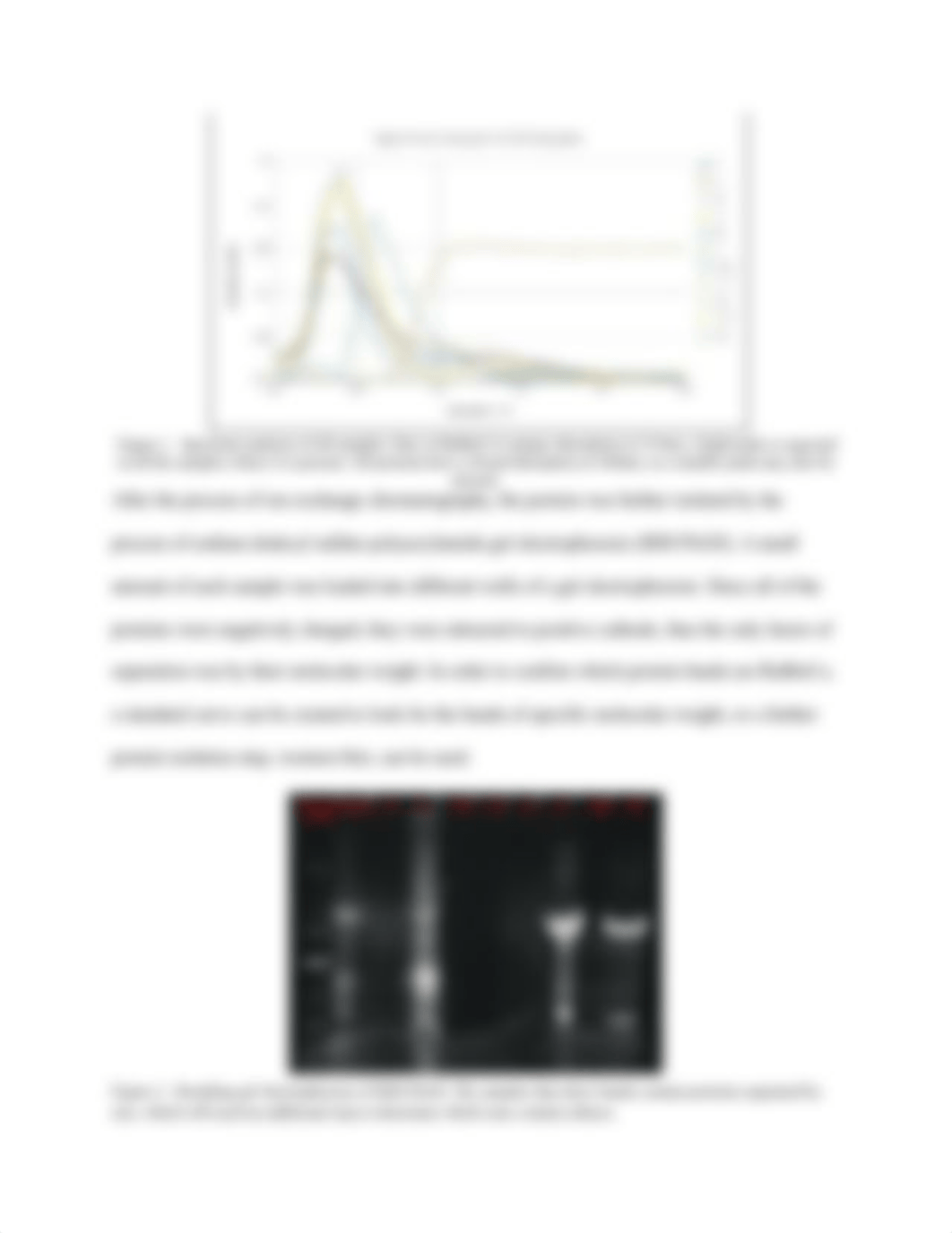 Protein Isolation.pdf_dcik4j2dgqu_page3